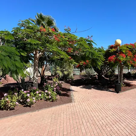 Lejlighed Honey Bunch Caleta De Fuste