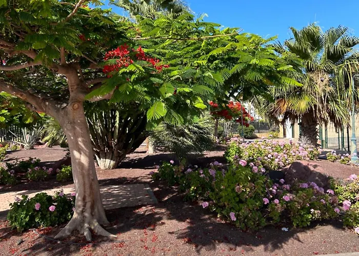 Honey Bunch * Caleta De Fuste