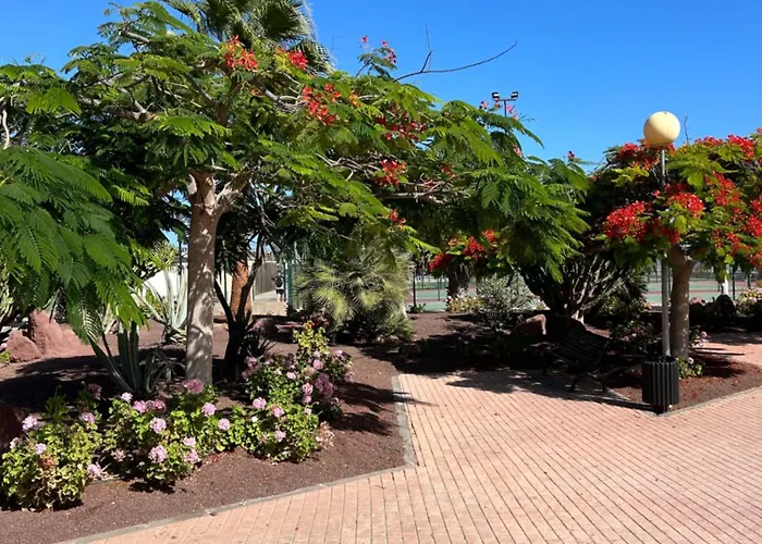 Lägenhet Honey Bunch Caleta De Fuste